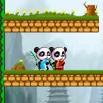 פנדה אש ופנדה מים